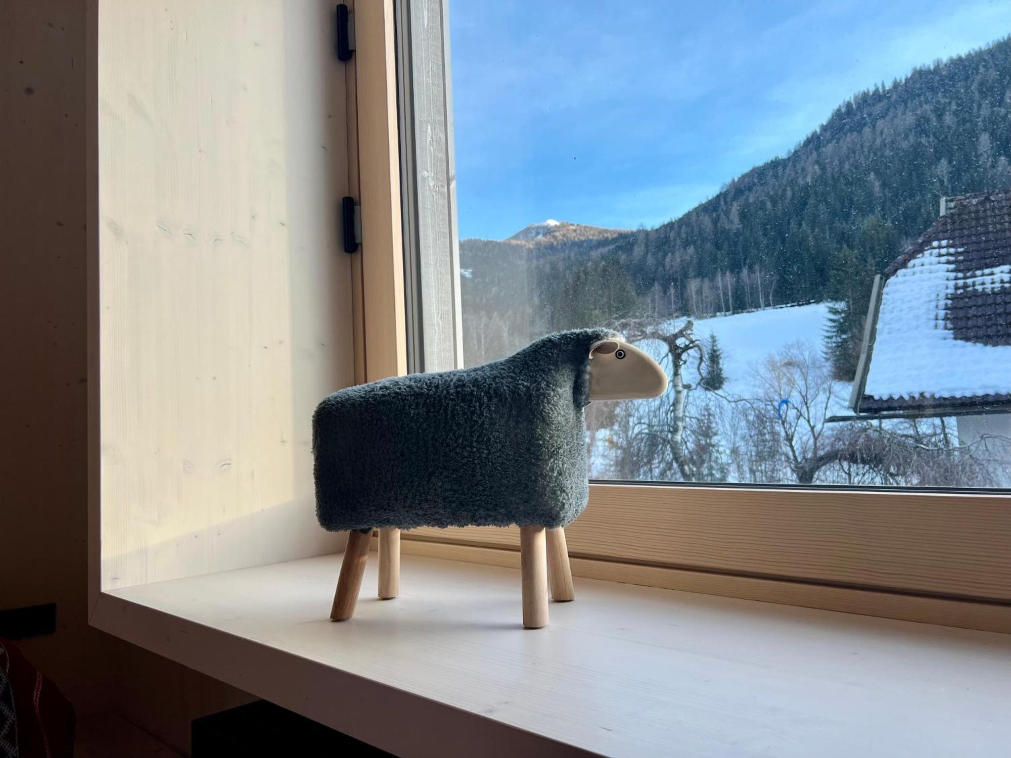 Bio Design Graue Schaf - Kaernten Card Sommer 2025 Inklusive Apartmán