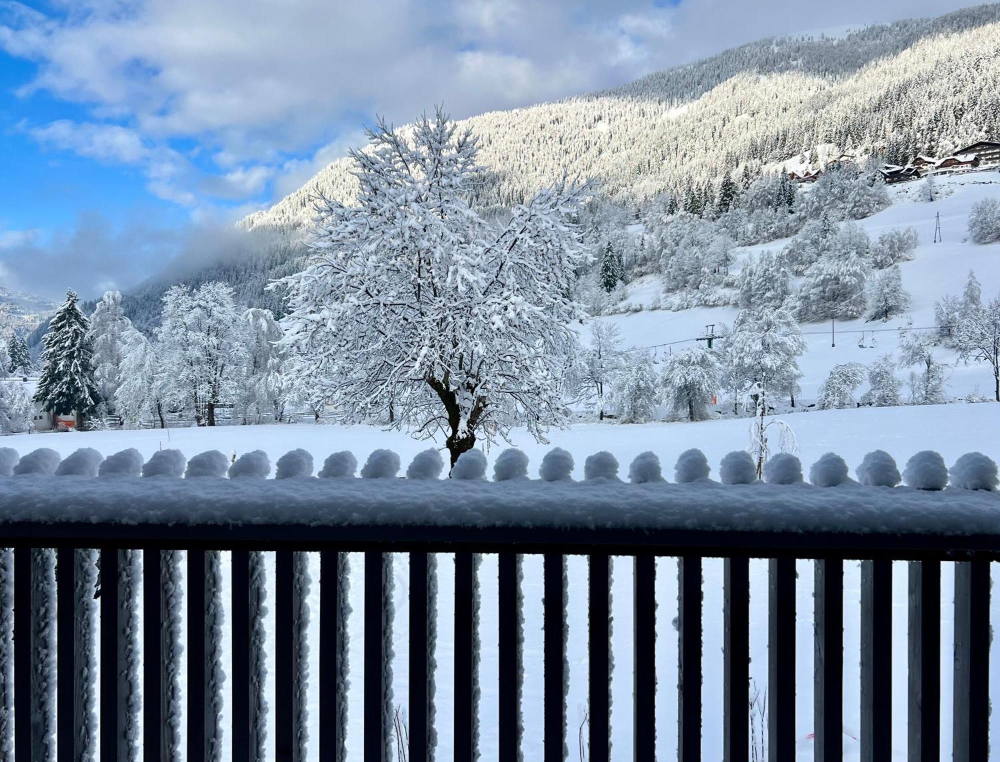 Apartmán Bio Design Graue Schaf - Kaernten Card Sommer 2025 Inklusive Bad Kleinkirchheim